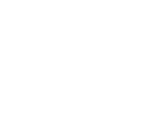 Digital EFX
